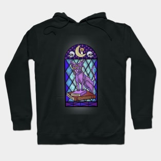 Mystical Stained Glass Cat Hoodie